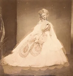 Bisi. Boudoir, grå fløyelskjole, rosa moire, rosa blomster, grå blader av hennes mai,..., 1860-tallet.