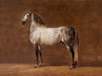 Hest til keiser Napoleon I: Cheikh, maleri av Pierre Martinet