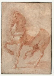 Studie av Bucephalus for relieffet «Alexander og Diogenes»