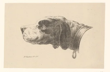 Hundehode med halsbånd