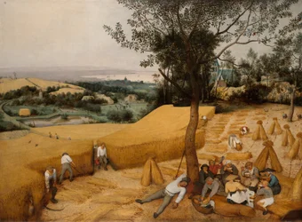 The Harvesters, 1565.