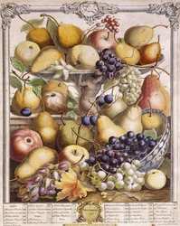 November 1732, viser sesongens epler, pærer, druer etc, 1732