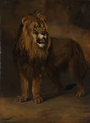 En løve fra kong Louis Napoleons menasjeri