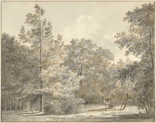 Hjort i en skog