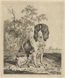 Sittende rapphønehund