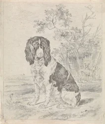 Sittende rapphønehund