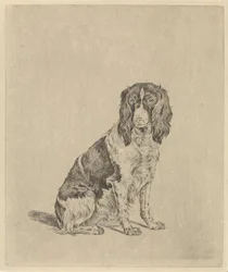 Sittende rapphønehund