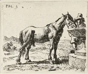 Drikkehest