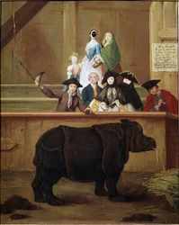 Neshorn: utstilling av Clara, indisk neshorn. 1751. Venetiansk museum fra 1700-tallet. Ca