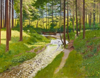 Sommerskog med bekk