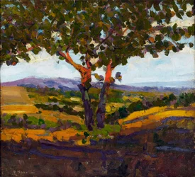 Solens hilsen, 1902