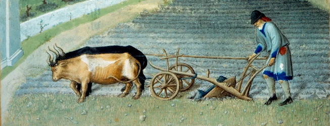 Mars: snø Landbruksarbeid, bonde pløyer en åker. Detalj. Miniatyr i «The very rich hours of the Duke of Berry» av Pol De Limburg (1400-tallet). Chantilly, Musee Conde