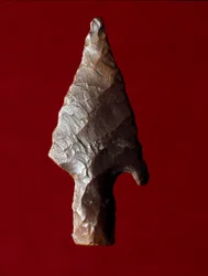 Egyptisk antikvitet: pilspissen fra stedet til Fayoum (Fayyum eller Fayum) i Egypt. Predynastisk periode. Verone, Museo Civico di Storia Naturale, Italia