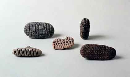 Forhistorie: forskjellige pintaderas (sel) av neolittisk terrakotta fra Caverna Delle Arene til Candide (Liguria). Pegli, Villa Pallavicini-museet