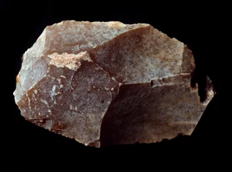 Forhistorie: kuttet på steinskrape. Øvre paleolitikum, Magdalena. Verone, Civic Museum of Natural History, Italia