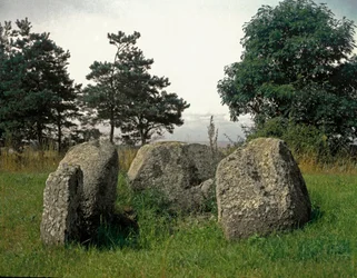 Forhistorie: grav fra steinalderen.