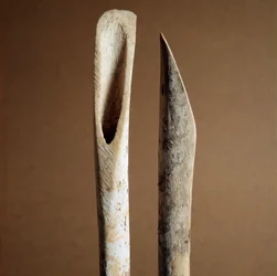 Forhistorie: verktøy for å fjerne bark fra skinnbenet til geit og sau fra Necropole of Arene Candide (Finale Liguria), Liguria. Mellomneolitikum, steinalder. Gener, museo di archeologia ligure