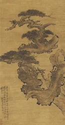 Gammel furu, 1600-1700-tallet
