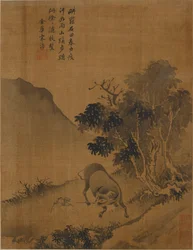 Herd-gutt drar vannbøffel