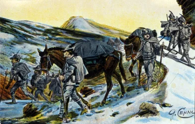Første verdenskrig: gruppe italienske alpejegere i anerkjennelse med muldyrene sine i 1915. Illustrasjon av Quinto Cenni (1845-1917)