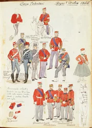 Uniforms of Army Volunteer Corp of Kingdom of Italy av Quinto Cenni, fargeplate