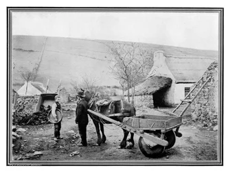 Gammel irsk lavryggsbil, 1901.