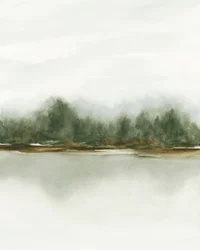 Refleksjon i den tåkete skogen