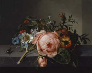 Stilleben med rosegren, bille og bie, 1741