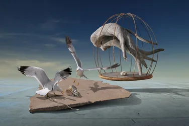 Måker rømmer fra surrealistisk bur