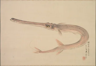 Nålefisk levde, 1870.