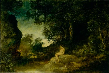 Ved naturens speil