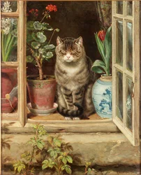 Mysende i solen, 1881