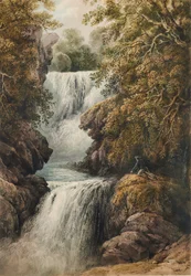 Foss