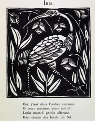 Ibis - i quot;The Bestiary or Procession of Orpheusquot; av Guillaume Apollinaire berømt av Raoul Dufy (1877 - 1953), red. de la Sirene, Paris