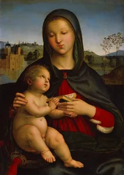 Madonna og barn med bok, ca. 1502–03 (olje på panel)
