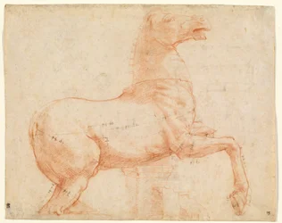 A Marble Horse on the Quirinal Hill (recto), ca. 1513 (rødt kritt, penn, brunt blekk, blyspiss og pekepenn)