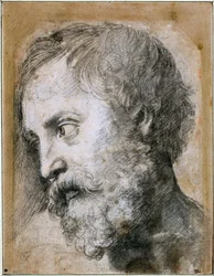 Leder for An Apostle Study for Transfiguration, 1519-1520