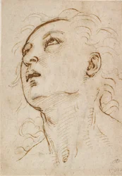 Hodet til en ung mann som stirrer oppover, c1497-c1504