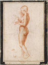 Young female figure in profile, ca 1517.    1191159   no       norwegian Successfully Translated  Original: Megatherium americanum in the moonlight. Translat: Megatherium americanum in the moonlight. 1401011 no norwegian Successfully Translated Original: E