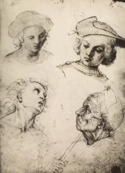 Studie av fire mannlige ansikter; tegning av Raphael. Gallerie dellAccademia, Venezia