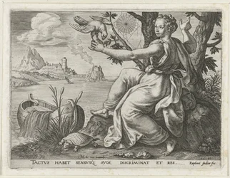 Følelse De fem sansene (serietittel)