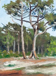 Pines, Arcachon Basin (olje på papir)