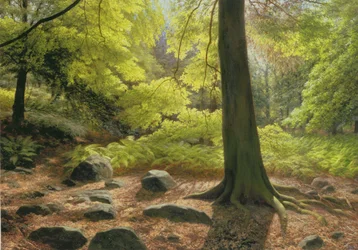 Vårsolskinn i Adel Woods