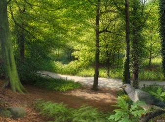 Skog med grønnkål