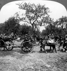 Hestetrukket artilleri, første verdenskrig, 1914-1918.