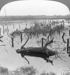 Åpnede sluser og piggtråd ved Nieuwpoort, Belgia, første verdenskrig, c1914-c1918