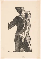 Anatomisk studie av en manns rygg og setemuskler