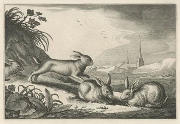Sanddynelandskap med kaniner Diversa Animalia Quadrupedia (serietittel)