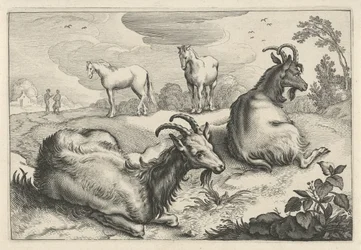 Landskap med to geiter og to hester Diversa Animalia Quadrupedia (serietittel)