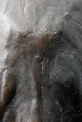 Stor giraff med senket hode, modellert 1909-10, støpt før 1913 (bronse) (se også 3084917-43)
